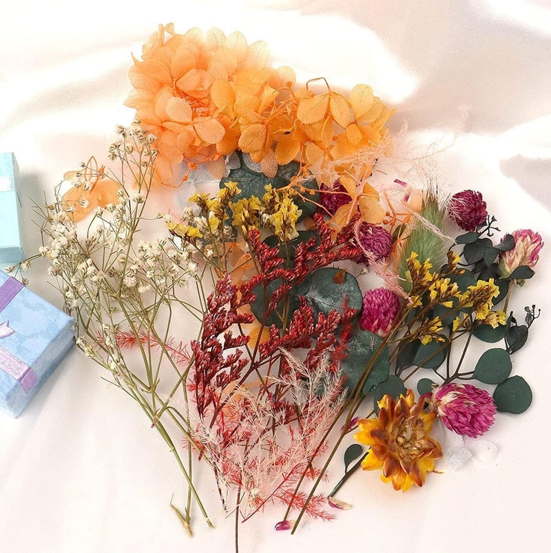 deziine DEZIINE Natural Real Dried Flowers for Art Craft Mixed Soap Candle Scrapbook DIY Resin Tray Jewellery Pendant Random Box Multicolour 2 Box  - Image 3
