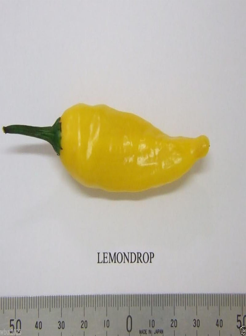 GGOOT Aji Lemon Drop seed Seeds, Distinctive Citrus Flavor, Bright Yellow Color. (30 Seeds) - Image 2