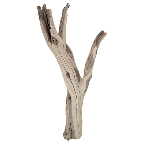 Koyal Wholesale 12 Driftwood Terrarium Decor Clean California Manzanita Drift Wood Reptile Decor Driftwood Decor for Home Desert Reptile Supplies
