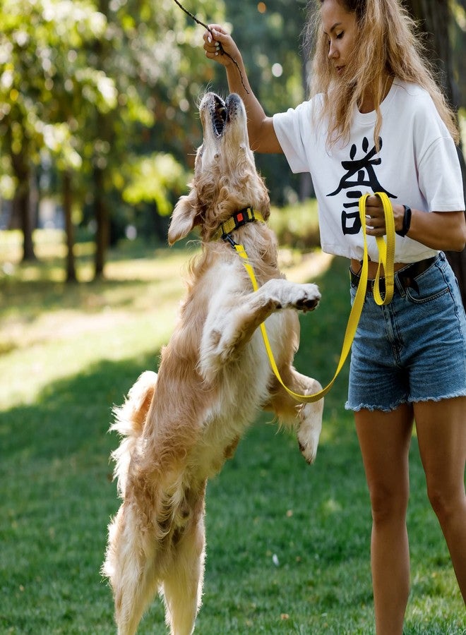 CollarDirect Reflective Dog Collar for a Small, Medium, Large Dog or Puppy with a Quick Release Buckle - Boy and Girl - Nylon Suitable for Swimming (14-18 Inch, Yellow) - Image 2