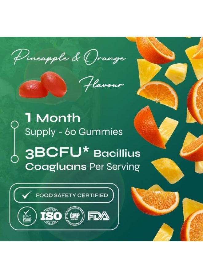 Known Pre+Pro Gut Support Gummies – 3 Billion CFU Bacillus Coagulans, Pineapple & Orange Flavour, Vegan Digestive & Immune Health – 60 Gummies, 1 Month Supply - Image 3