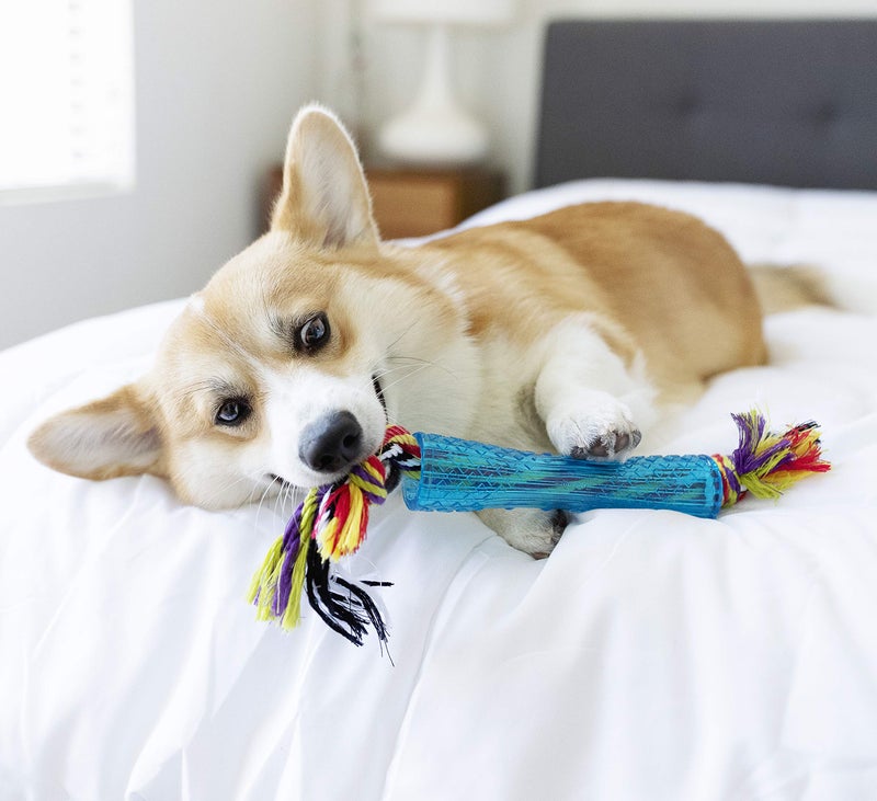 Petstages Orka Stick Alternative Dog Chew Toy - Image 4