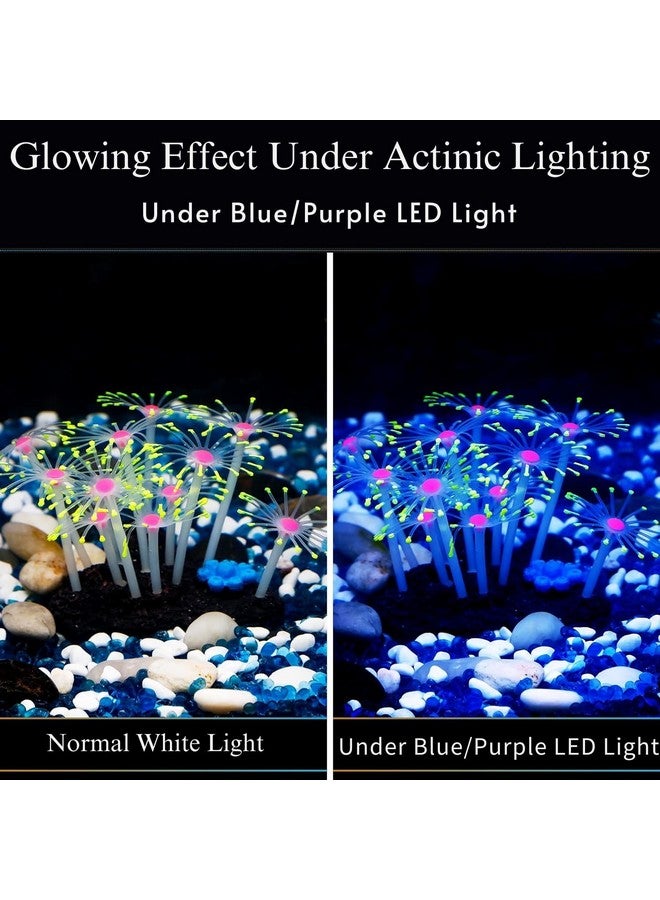 (Sh007 زينة مرجانية متوهجة من السيليكون الناعم، مرجان صناعي مائي متوهج لتزيين حوض السمك | ديكور ساحر لحوض السمك (لون عشوائي) من Petzlifeworld - Image 3