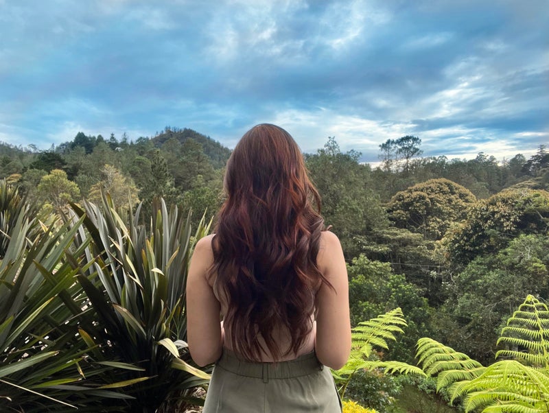 The Henna Guys عبوة واحدة من صبغة الحناء الحمراء للشعر واللحية 100 جرام - لون شعر طبيعي، صبغة شعر نباتية - The Henna Guys - Image 3