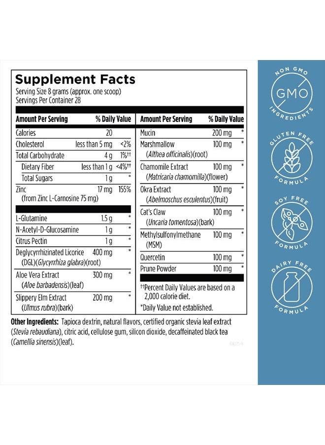 designs for health - GI Revive Gut Health Powder - L Glutamine & Citrus Pectin for Digestive Health + Slippery Elm, Marshmallow Root & Cat's Claw for Healthy Intestinal Function (28 Servings) - Image 1
