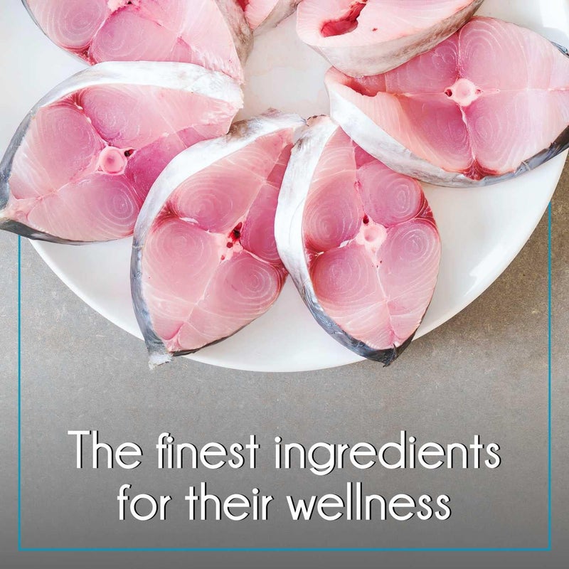 PUREPET طعام جاف للقطط البالغة من بيوربيت، سمك المحيط، 1 كجم - Image 5