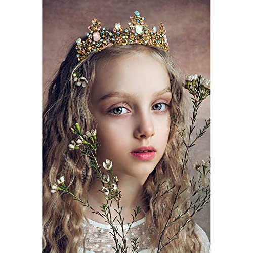 Didder Baroque Vintage Crowns and Tiaras - Royal Princess Crowns for Girls and Women - Wedding, Halloween, Christmas, Prom, Birthday and Party - Image 5
