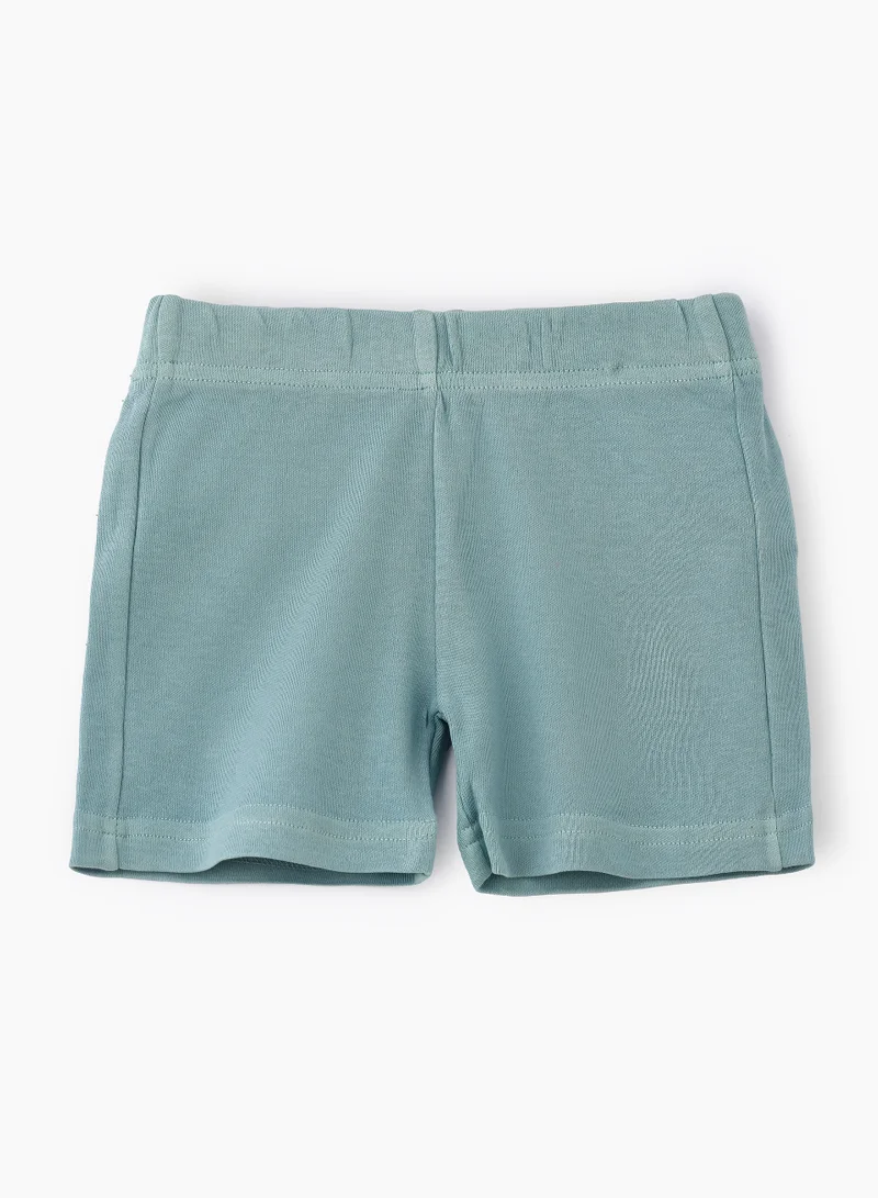 JAM Soft Mint Green Knitted Cotton Shorts for Boys