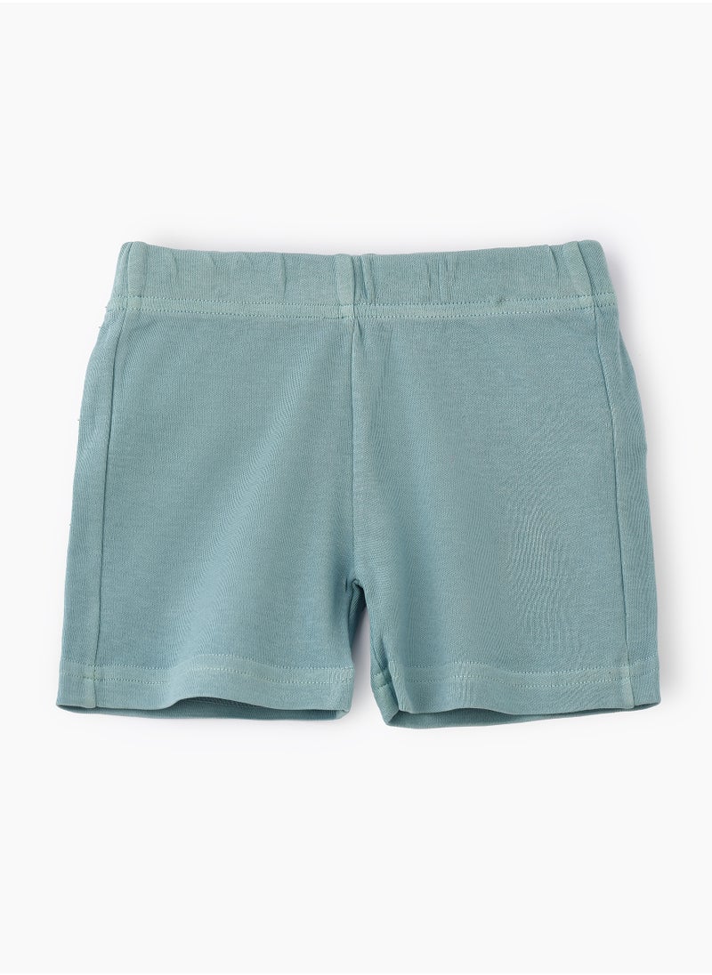 JAM Soft Mint Green Knitted Cotton Shorts for Boys  - Image 1