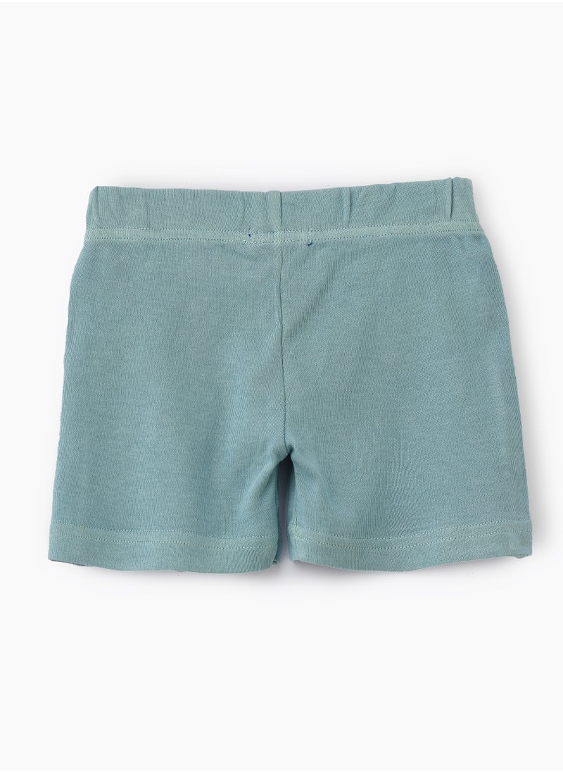 JAM Soft Mint Green Knitted Cotton Shorts for Boys  - Image 2