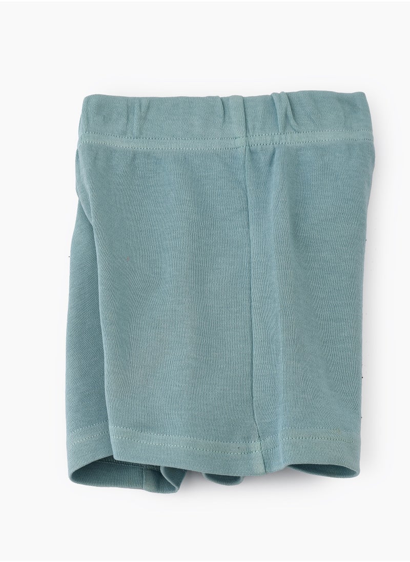 JAM Soft Mint Green Knitted Cotton Shorts for Boys  - Image 3