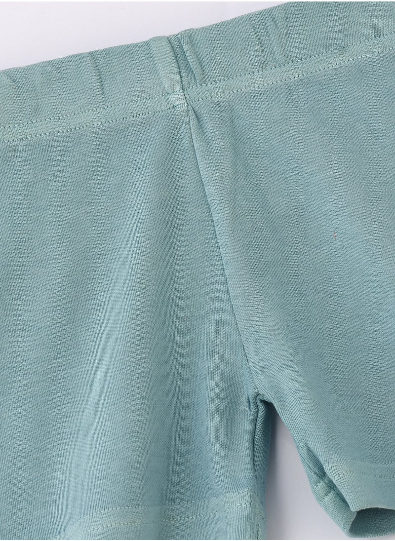 JAM Soft Mint Green Knitted Cotton Shorts for Boys  - Image 4