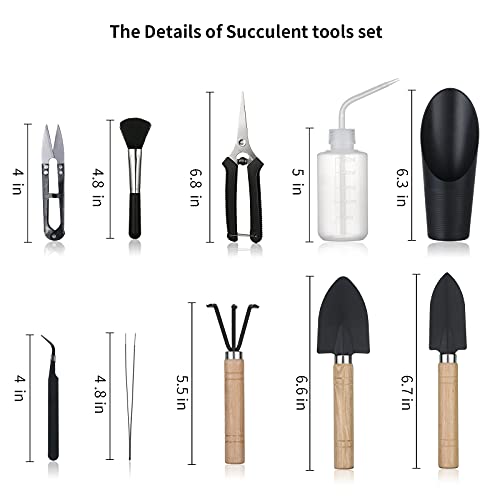 Songtaste 11Pcs Succulent ToolsMini Garden ToolsSucculent Watering Tool as Plant AccessoriesSucculent Gardending Hand Tools Kit for Seedling SoilCaring SucculentHouseplantGifts for Woman No Flowerpot - Image 3