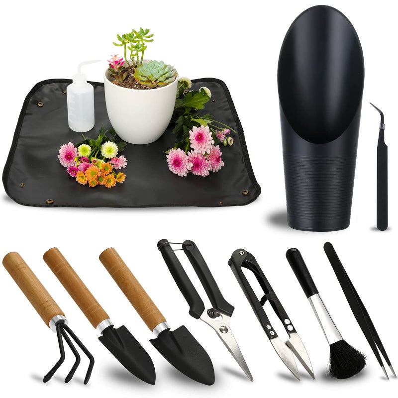 Songtaste 11Pcs Succulent ToolsMini Garden ToolsSucculent Watering Tool as Plant AccessoriesSucculent Gardending Hand Tools Kit for Seedling SoilCaring SucculentHouseplantGifts for Woman No Flowerpot - Image 2