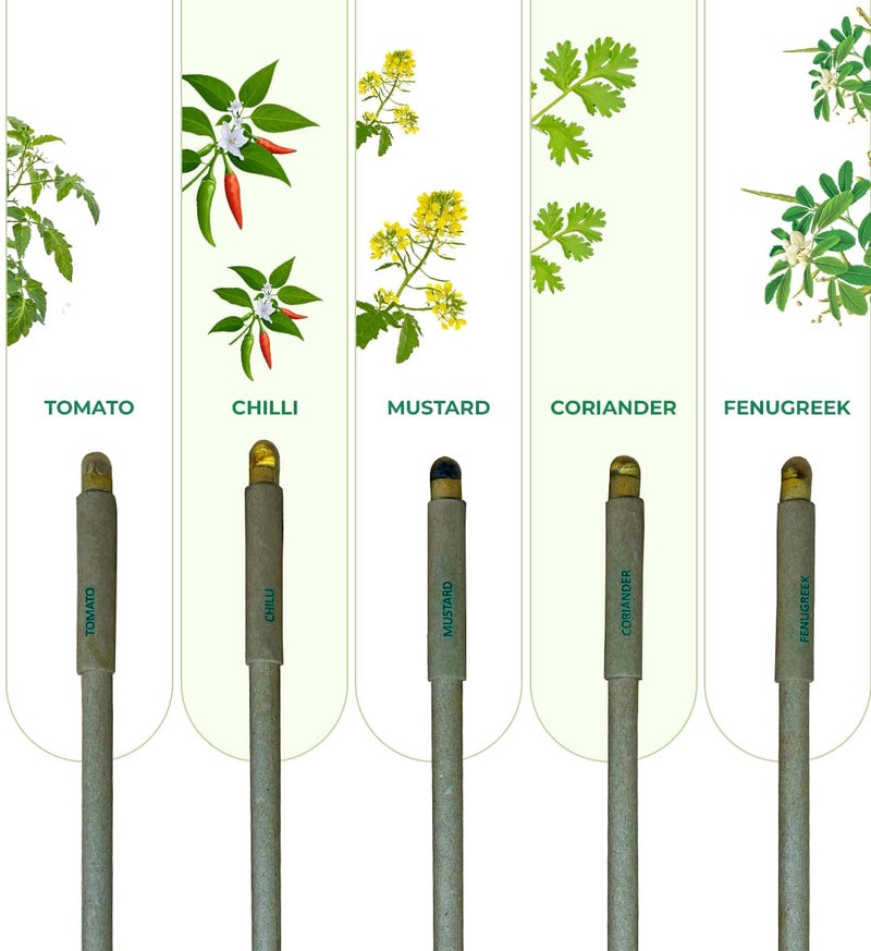 clayherbs (Pack-10 Blue Ink Pen | Return Gift | Corporate Gifting | Sustainable Pens | Eco-Friendly | Paper Pens | Biodegradable | Plantable Seeds | Bulk Pen For Hotels, Office and Schools - Image 2