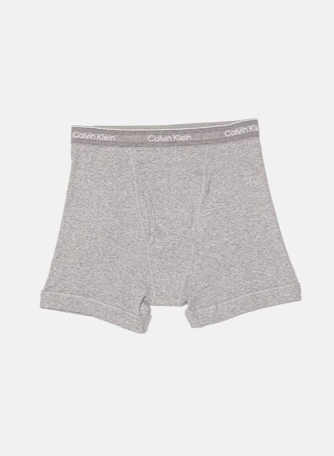 CALVIN KLEIN 3 Pack Logo Trunks
