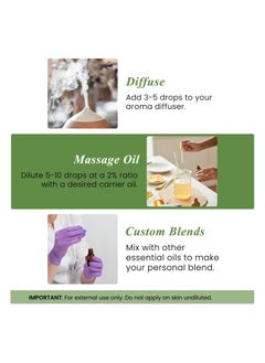 handcraft Handcraft Blends Rosemary Essential Oil - 100% Pure and Natural - Premium Therapeutic Grade with Premium Glass Dropper - Huge 4 fl. Oz  - Image 3