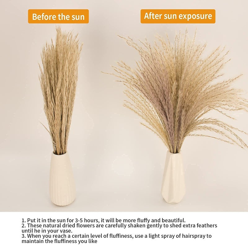 ANPROOR 65PCS Pampas Grass Decor, Including pompas Floral, Reed Dried Grass and Bunny Tails Dried Flowers, Natural Dried Pampas Grass Bouquet for Boho Decor Wedding, Home Decoration - Image 2