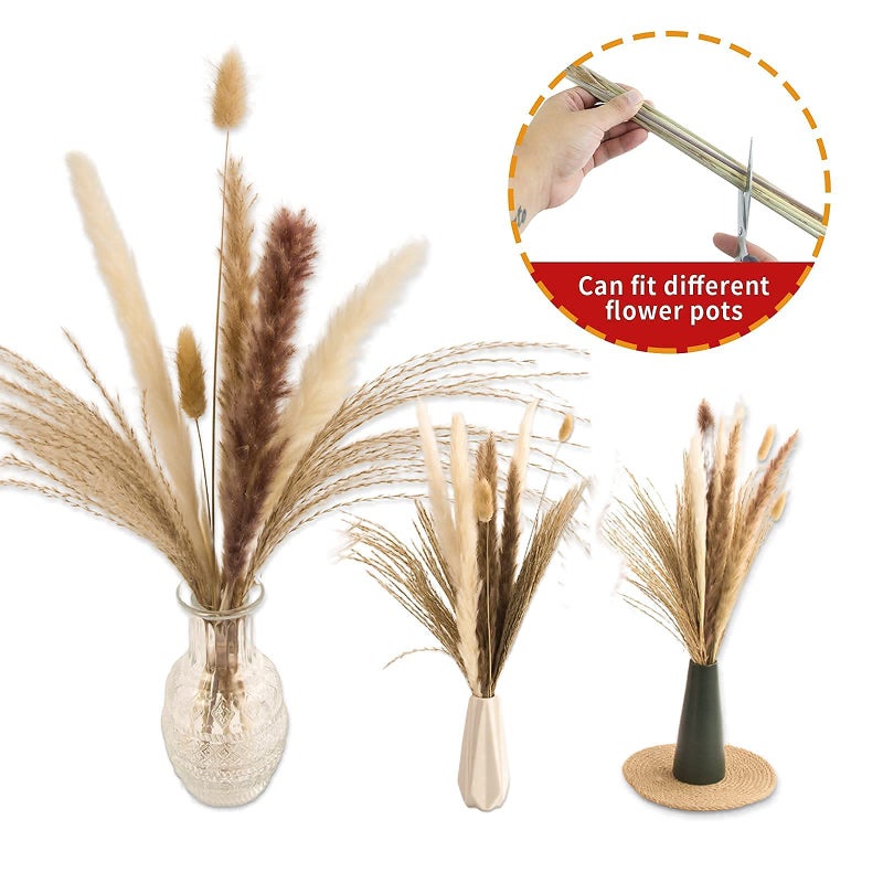 ANPROOR 65PCS Pampas Grass Decor, Including pompas Floral, Reed Dried Grass and Bunny Tails Dried Flowers, Natural Dried Pampas Grass Bouquet for Boho Decor Wedding, Home Decoration - Image 4