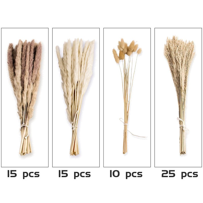 ANPROOR 65PCS Pampas Grass Decor, Including pompas Floral, Reed Dried Grass and Bunny Tails Dried Flowers, Natural Dried Pampas Grass Bouquet for Boho Decor Wedding, Home Decoration - Image 3