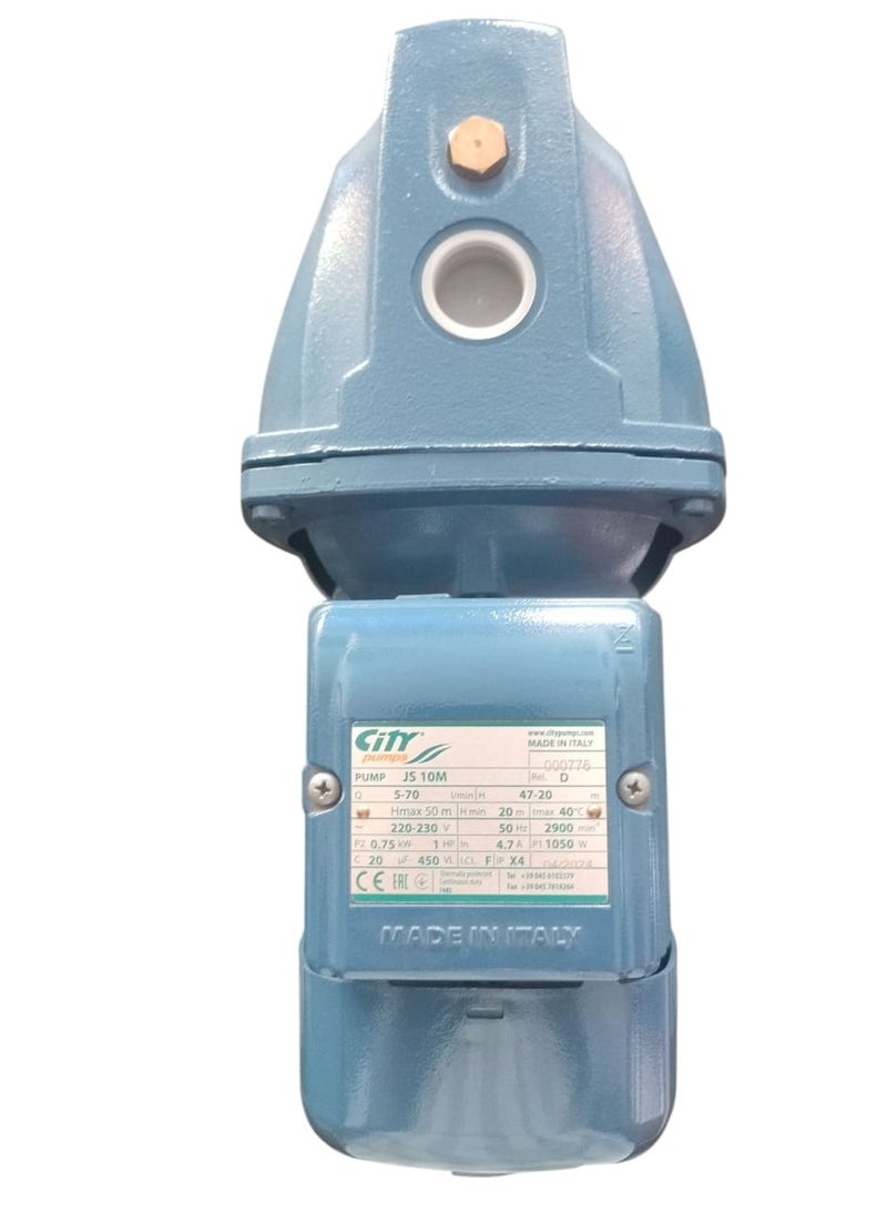 city pumps City Pump Water , 1.5 HP, model JS15m - Image 4