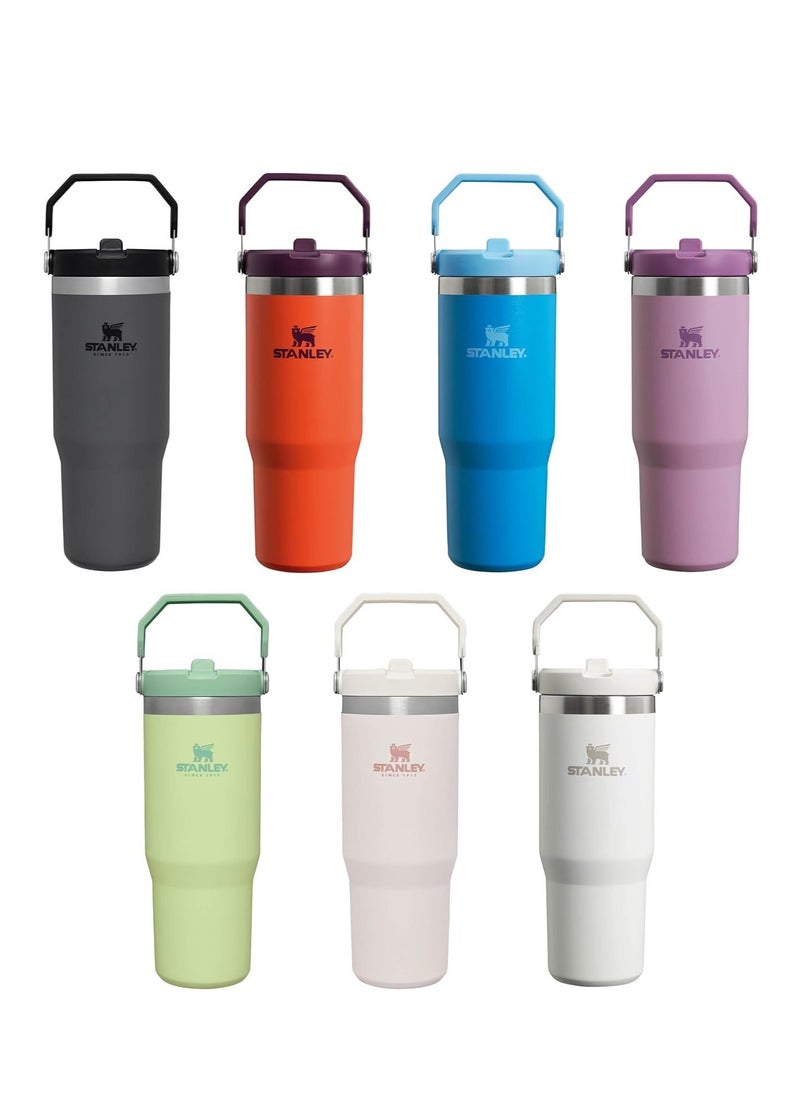 IceFlow Flip Straw Water Bottle with Straw 0.88L – Keeps Cold for 12+ Hours – Leakproof Stainless Steel – BPA-Free Travel Mug – Easy to Carry, Dishwasher Safe – Frost Color, Ideal for Gym, Office, & Outdoor Adventures