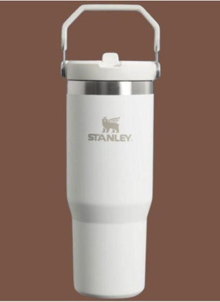 IceFlow Flip Straw Water Bottle with Straw 0.88L – Keeps Cold for 12+ Hours – Leakproof Stainless Steel – BPA-Free Travel Mug – Easy to Carry, Dishwasher Safe – Frost Color, Ideal for Gym, Office, & Outdoor Adventures - pzsku/Z74AB4D90BAF9894C2C40Z/45/_/1739985869/8c04a4e5-bda5-4fba-84ed-a6af3955a8af