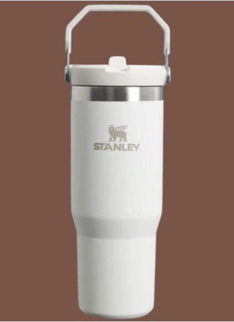 IceFlow Flip Straw Water Bottle with Straw 0.88L – Keeps Cold for 12+ Hours – Leakproof Stainless Steel – BPA-Free Travel Mug – Easy to Carry, Dishwasher Safe – Frost Color, Ideal for Gym, Office, & Outdoor Adventures