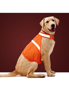Vizbrite Dog Jacket High Visibility Safety Reflective Dog Vest for Small Medium Large Dogs (X-Large, Orange)  - Image 1