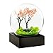 CoolSnowGlobes Spring Cool Snow Globe - Image 2