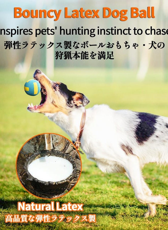 SCHITEC Squeaky Dog Balls, [4 Pack] Interactive Latex Rubber Squeak Dog Toys, 2.4'' Soft Bouncy Fetch Play Ball Toy for Small Dogs Puppies - Image 4