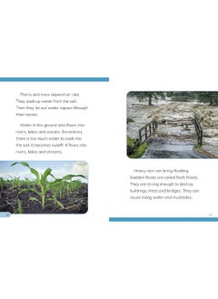 Why Do We Need Rain?  - Image 1