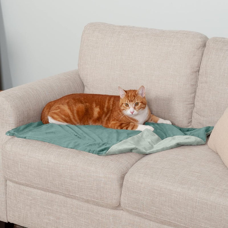Furhaven Waterproof Throw Blanket for Dogs & Indoor Cats, Washable - Two-Tone Luxe Velvet Dog Blanket - Celadon Green, Small - Image 3