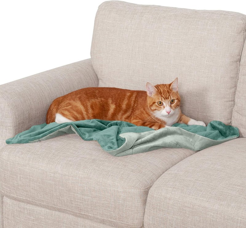 Furhaven Waterproof Throw Blanket for Dogs & Indoor Cats, Washable - Two-Tone Luxe Velvet Dog Blanket - Celadon Green, Small - Image 1