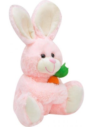 Cute Rabbit Plush Organic Fabric 15 cm - pzsku/Z74AF0422B2A18CD369F8Z/45/_/1730923954/df33f100-4beb-4be9-b9c7-c751476263f8