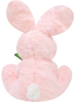 Cute Rabbit Plush Organic Fabric 15 cm - pzsku/Z74AF0422B2A18CD369F8Z/45/_/1730923956/30c00944-fd19-4427-8002-80491af72ab2