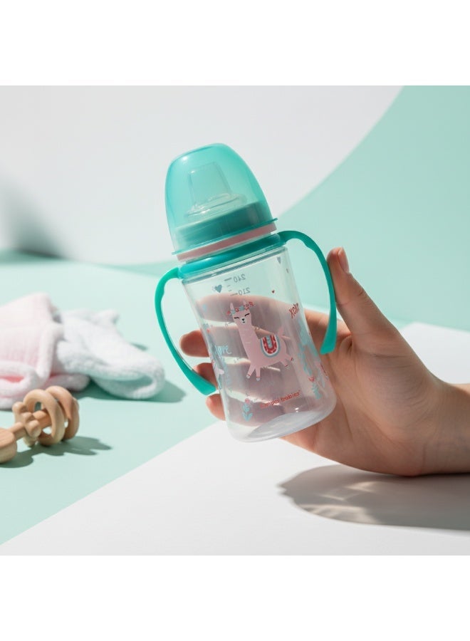 كانبول بيبز كوب تدريب كانبول بيبز بمقابض مضيئة من البولي بروبيلين إيزي ستارت 240 مل - حيوانات غريبة - أخضر - 6 أشهر فما فوق - Image 5