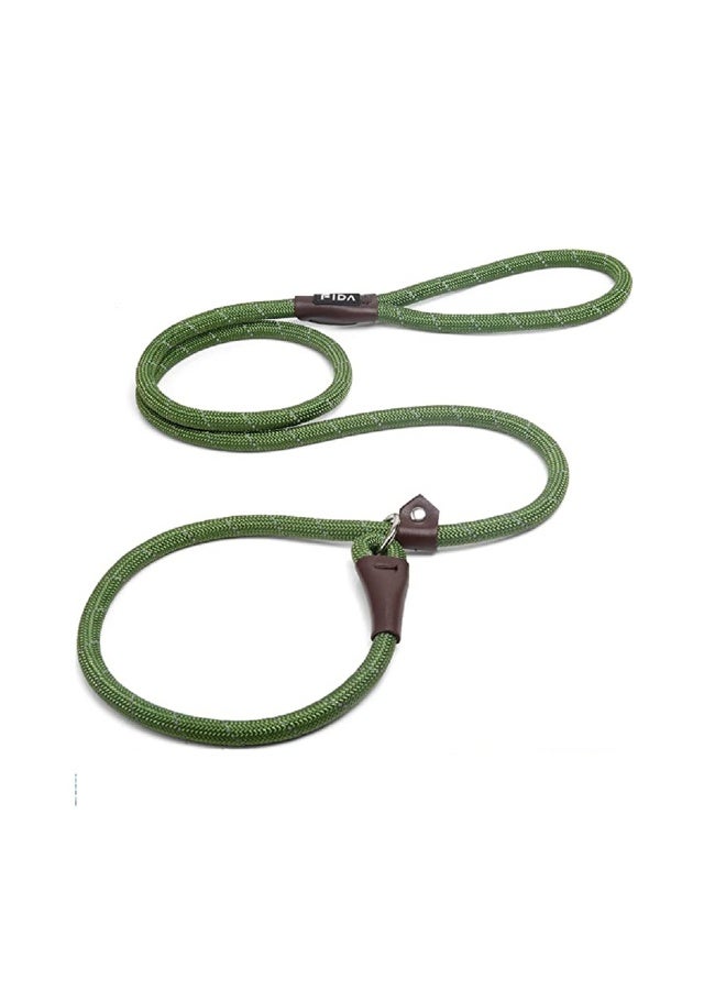 Fida Durable Slip Lead Dog Training Leash - Green