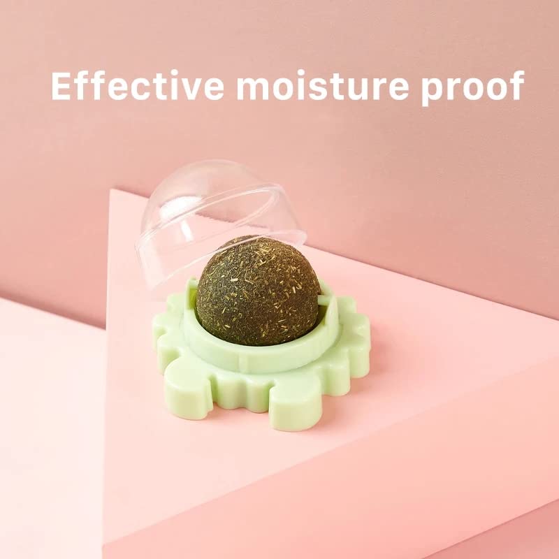 Sunkizzrs ® Catnip Toy (1 Pcs) Catnip Balls Catnip Wall Toys for Cats Rotatable Edible Mint Natural Healthy Teeth Cleaning Chew Claw Toy for Cat/Kitten (Green) - Image 2