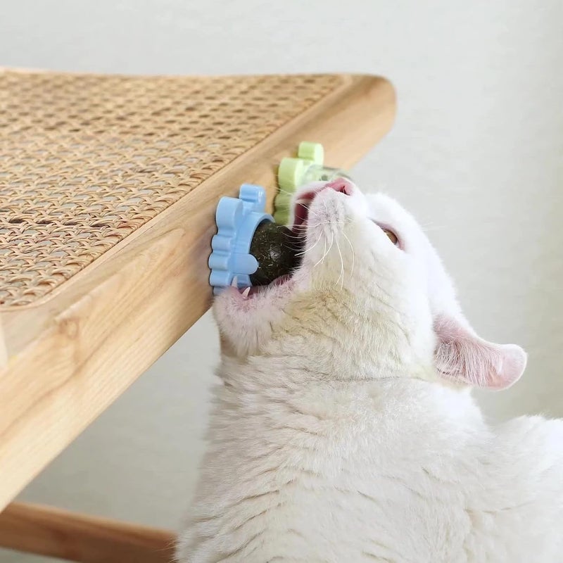Sunkizzrs ® Catnip Toy (1 Pcs) Catnip Balls Catnip Wall Toys for Cats Rotatable Edible Mint Natural Healthy Teeth Cleaning Chew Claw Toy for Cat/Kitten (Green) - Image 4