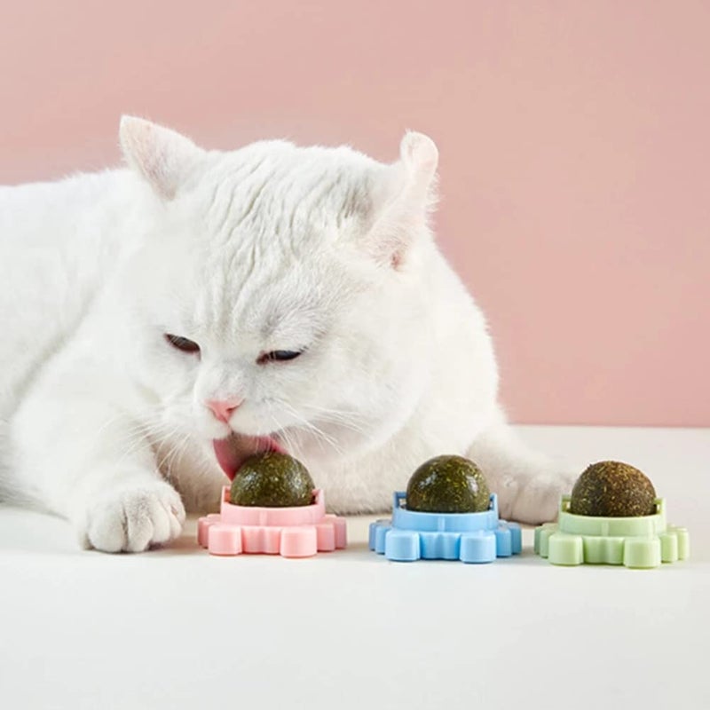 Sunkizzrs ® Catnip Toy (1 Pcs) Catnip Balls Catnip Wall Toys for Cats Rotatable Edible Mint Natural Healthy Teeth Cleaning Chew Claw Toy for Cat/Kitten (Green) - Image 5