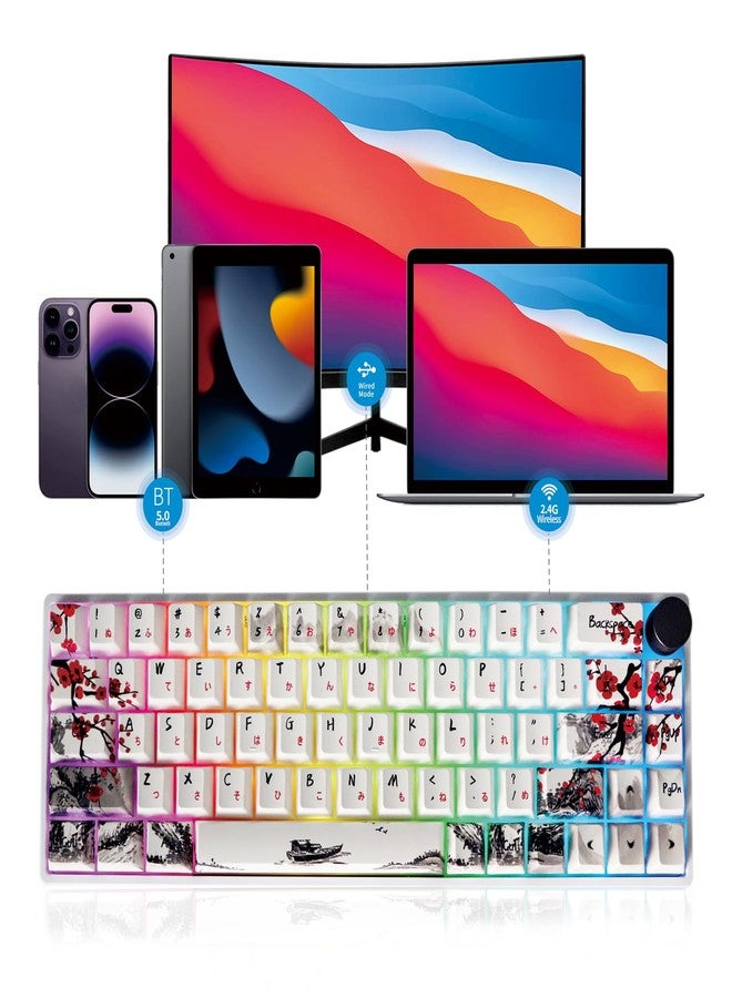 MOLGRIA GK68 68-Key RGB Backlit Gaming Keyboard with Plum Blossom Keycaps, Hot Swappable Yellow Gateron Switches, Wired and Wireless with Push Button - Image 3