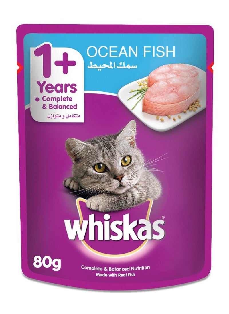 Wet Cat Food With Ocean Fish 80 GM 1+ Years - pzsku/Z74B9874B4D295AF87F99Z/45/_/1683758460/cae6d9b9-762a-485c-ae5f-b58be423f764