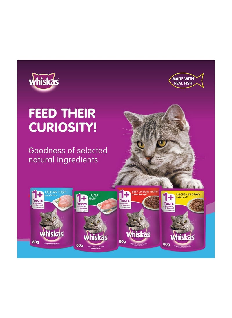 Wet Cat Food With Ocean Fish 80 GM 1+ Years - pzsku/Z74B9874B4D295AF87F99Z/45/_/1683758461/55271f76-5f25-4ce8-a2c9-0781721a5cfd