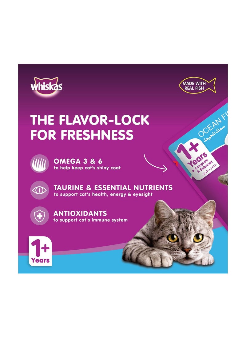 Wet Cat Food With Ocean Fish 80 GM 1+ Years - pzsku/Z74B9874B4D295AF87F99Z/45/_/1683758462/752d4a27-d07a-4df1-a6ea-5c2d160cbcc4