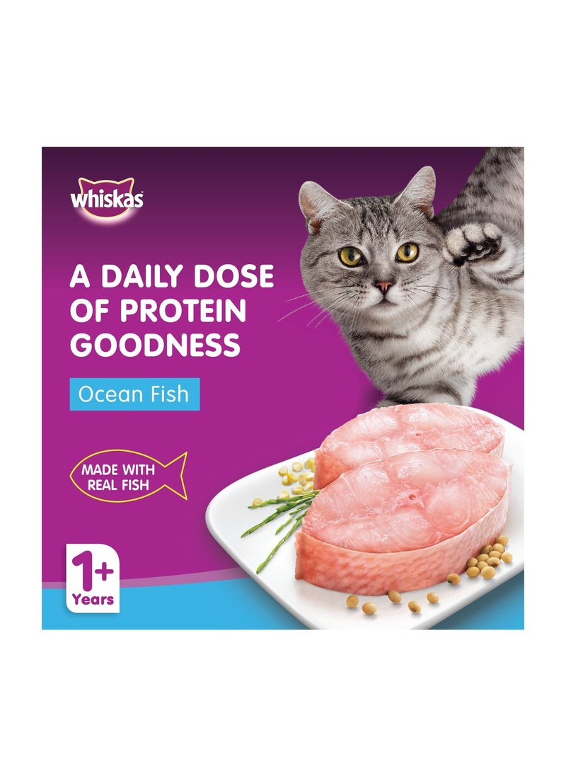 Wet Cat Food With Ocean Fish 80 GM 1+ Years - pzsku/Z74B9874B4D295AF87F99Z/45/_/1683758462/9bf49b14-b99b-4e31-9885-6211ca913999