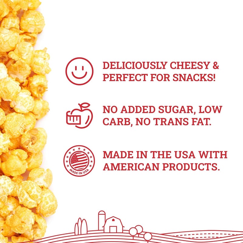 Hoosier Hill Farm Cheddar Cheez Powder - 1 lb - Image 3