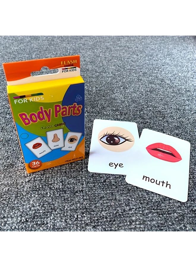 Body Parts Flash Cards Early Learning Educational Gift For Kids Age 3 6 - Image 1