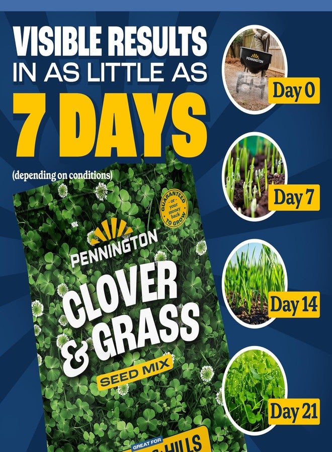 Pennington Smart Seed Clover and Grass Mix 7 lb - Image 5