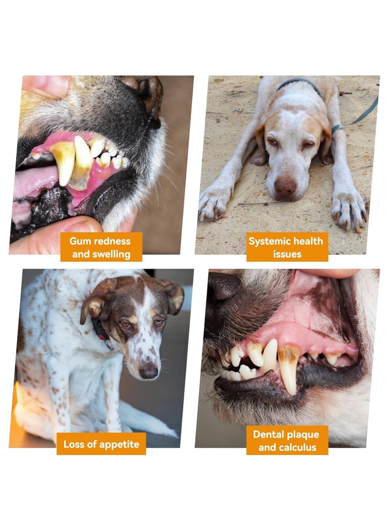 مِبْرَد السِّنِّ الكُهْرُبَائِيّ للكِلَاب - مَجْموعَةُ الفُرْشَاة للحِيوَانات الألِيفَةِ - العنايةُ الفَعَالَةُ بأسنان الحِيوَان الألِيفِ ضَروريُّ لصِحَّة أسنان الكِلَب - Image 2